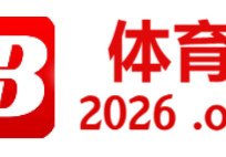 B体育：足球赛场上的精彩瞬间，球迷们热烈欢呼，足球比赛精彩时刻